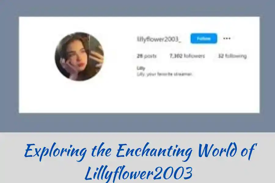 Exploring the Enchanting World of Lillyflower2003